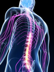 Spinal-Cord-Stimulation