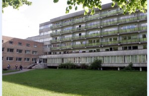 5266662_ORIGINAL_1374130680_jpg