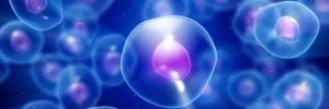 stem-cell-healing